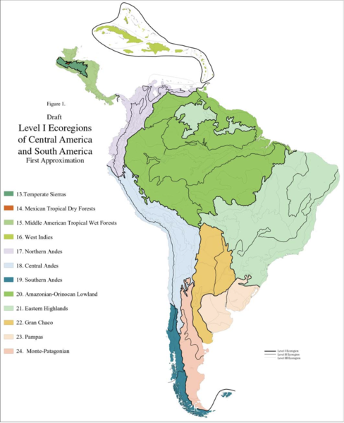 File:South and Central America Ecoregion Map.png